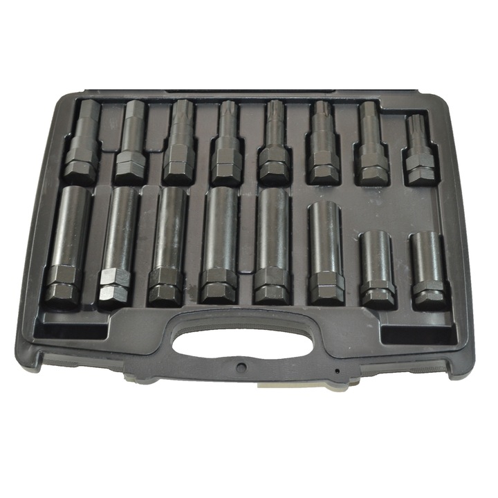 Trusa cu chei speciale pentru suruburi antifurt 16 piese