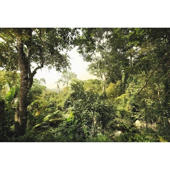 Fototapet , Colectia Komar Into Illusion 2 , Categoria Deluxe , Gama Bricks And The City , 4 piese , dimensiuni 368x248 cm , XXL4-024 Fototapet , Colectia Komar Into Illusion 2 , Categoria Deluxe , Gama Bricks And The City , 4 piese , dimensiuni 368x248 cm , XXL4-024