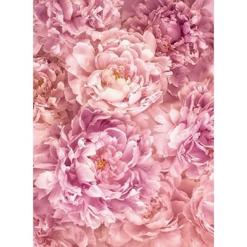 Fototapet , Colectia Komar Into Illusion 2, Categoria Deluxe , Gama Sweet Dreams , 2 piese , dimensiuni 248x184 cm , XXL2-009 Fototapet , Colectia Komar Into Illusion 2, Categoria Deluxe , Gama Sweet Dreams , 2 piese , dimensiuni 248x184 cm , XXL2-009