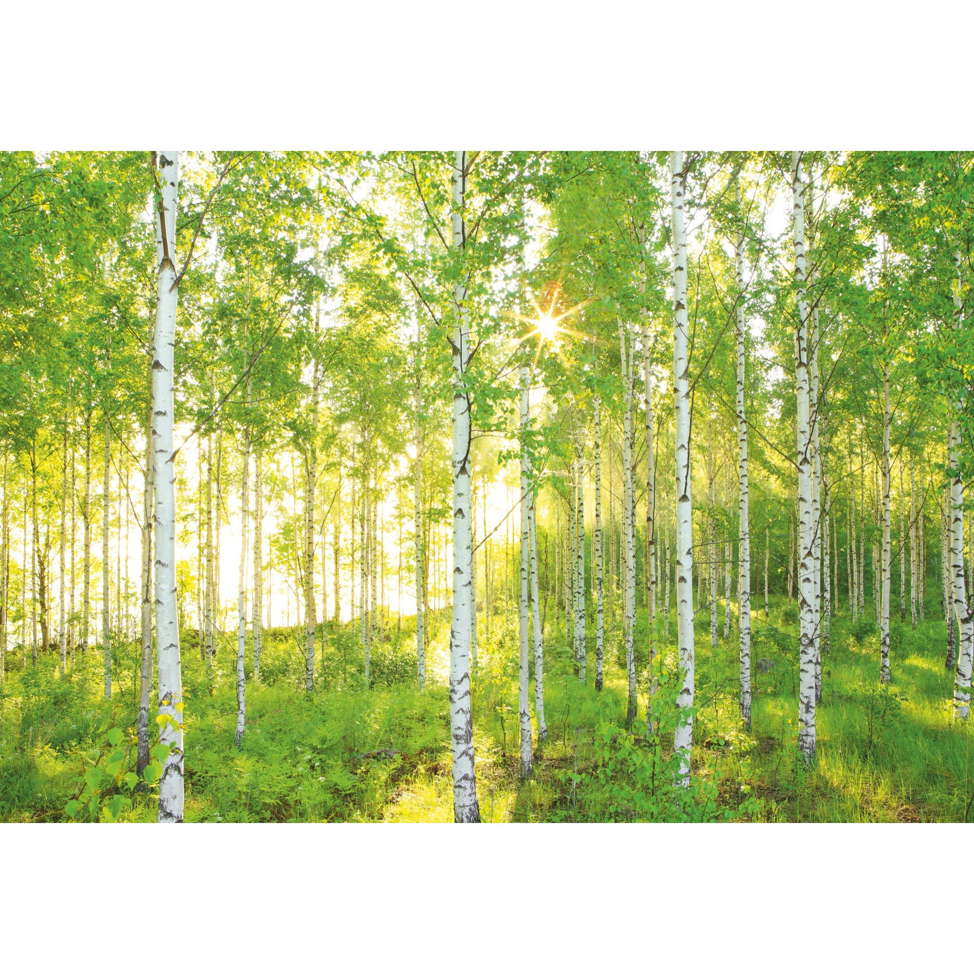 Fototapet peisagistic Sunday Komar XXL4-519 Verde 368 X 248cm