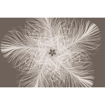 Fototapet , Colectia Komar Into Illusion 2, Categoria Deluxe , Changes , 4 piese , dimensiuni 368x248 cm , XXL4-006 Fototapet , Colectia Komar Into Illusion 2, Categoria Deluxe , Changes , 4 piese , dimensiuni 368x248 cm , XXL4-006