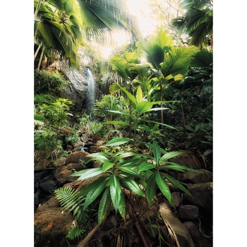 Fototapet , Colectia Komar Into Illusion 2, Categoria Deluxe , Gama Watch The Detail , 2 piese , dimensiuni 184x248 cm , XXL2-527 Fototapet , Colectia Komar Into Illusion 2, Categoria Deluxe , Gama Watch The Detail , 2 piese , dimensiuni 184x248 cm , XXL2-527