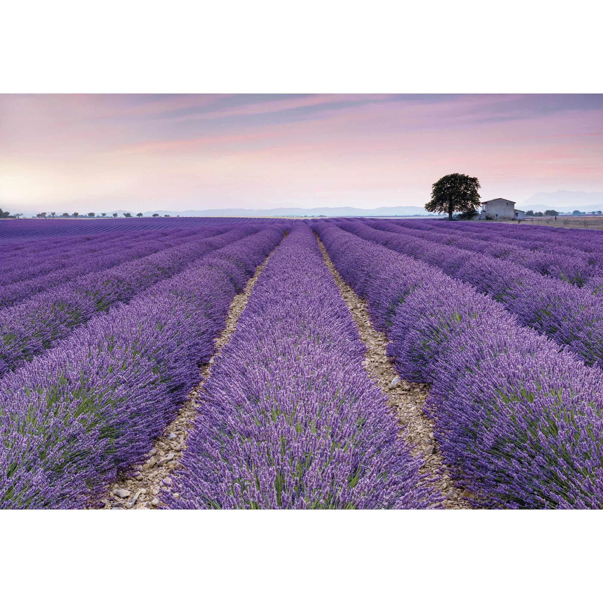 Fototapet , Colectia Komar Into Illusion 2, Categoria Deluxe , Gama Wander Lust , 4 piese , dimensiuni 368x248 cm , XXL4-036