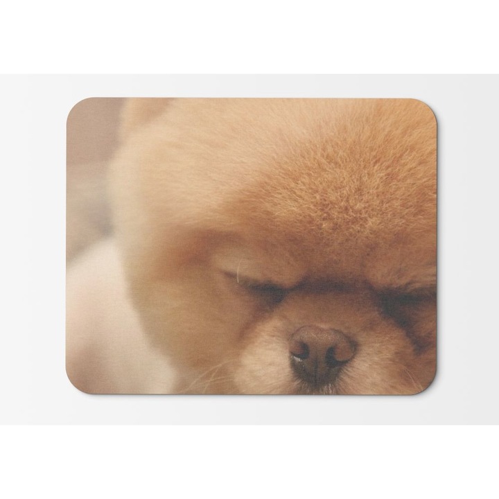 Mouse Pad Animals Dogs Thanksgiving Pets Pomeranian Boo - 21.5 x 27 x 0.3cm