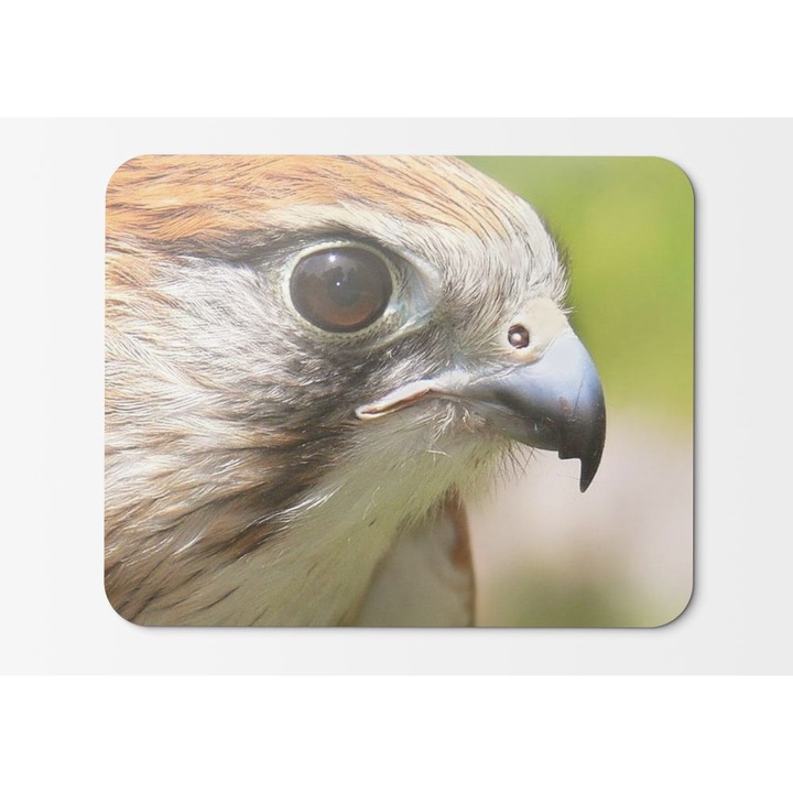 Mouse Pad Australian Birds Falcon Bird - 21.5 x 27 x 0.3cm