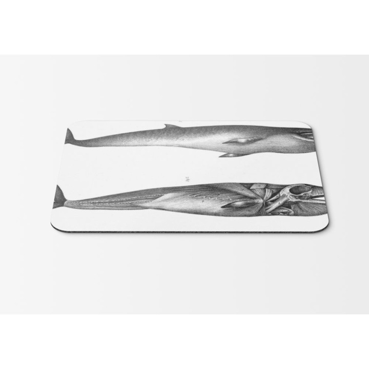 Mouse Pad Biology Drawings Historic Monochrome Whales - 21.5 x 27 x 0.3cm
