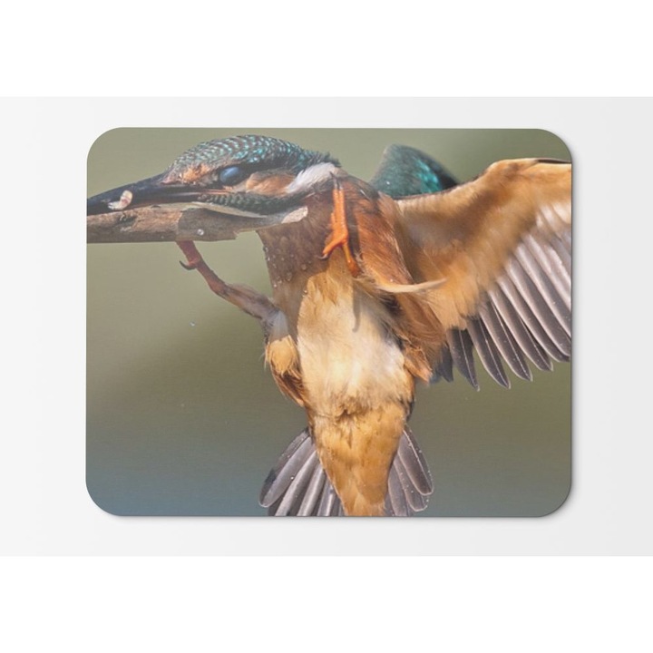 Mouse Pad Birds Kingfisher - 21,5 x 27 x 0,3 cm