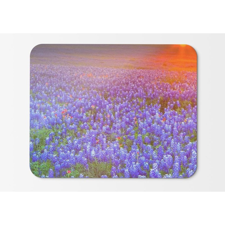 Mouse Pad Country Texas Bluebonnet - 21,5 x 27 x 0,3 cm