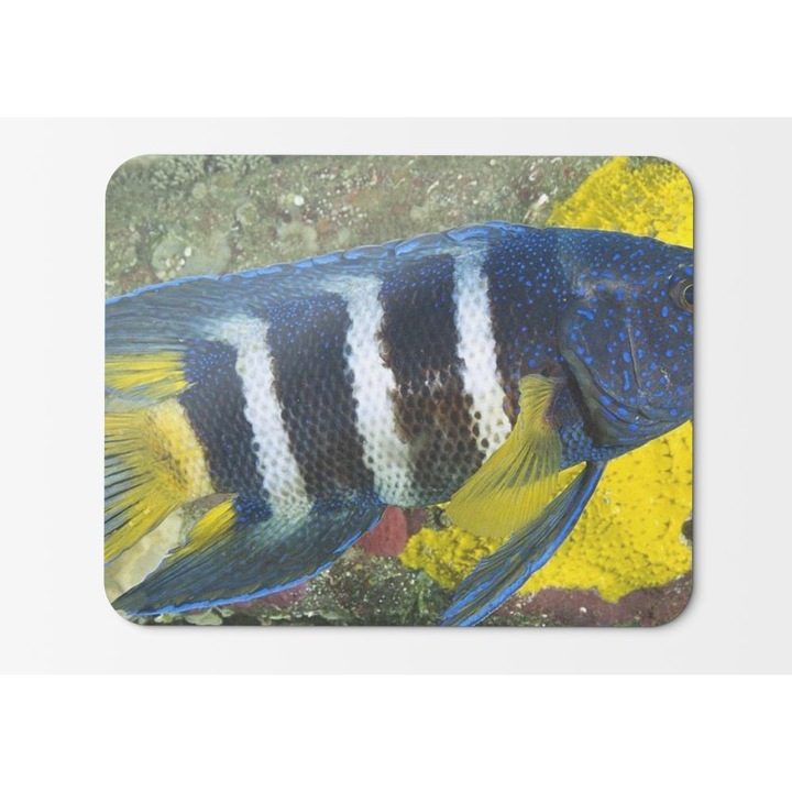 Egérpad Eastern Blue Devil - 21,5 x 27 x 0,3 cm