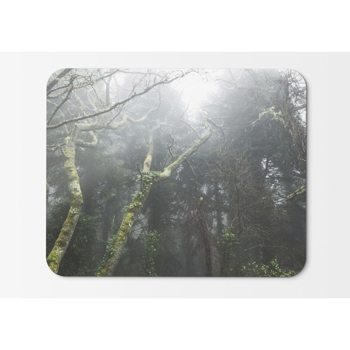 Mouse Pad Forests Köd Köd Portugália Moha Hdr Photography - 21,5 x 27 x 0,3 cm