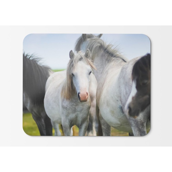 Mouse Pad Horsesmeadow - 21,5 x 27 x 0,3 cm