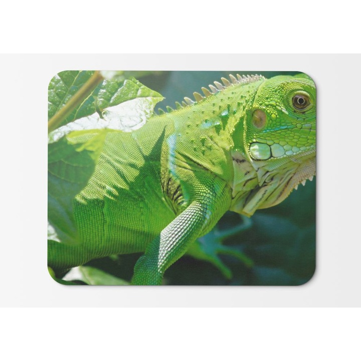 Egérpad leguán hüllők zöld állat virágok szemek levelek sárkány - 21,5 x 27 x 0,3 cm