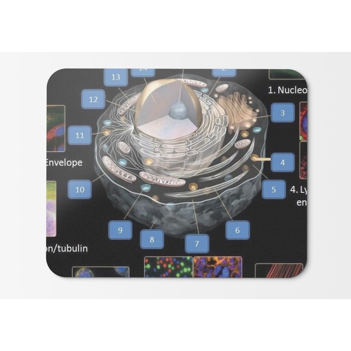 Mouse Pad Science Biology mikroszkopikus - 21,5 x 27 x 0,3 cm