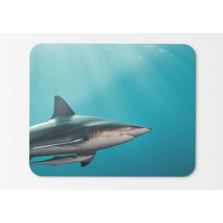 Mouse Pad Sharkunderwater - 21.5 x 27 x 0.3cm