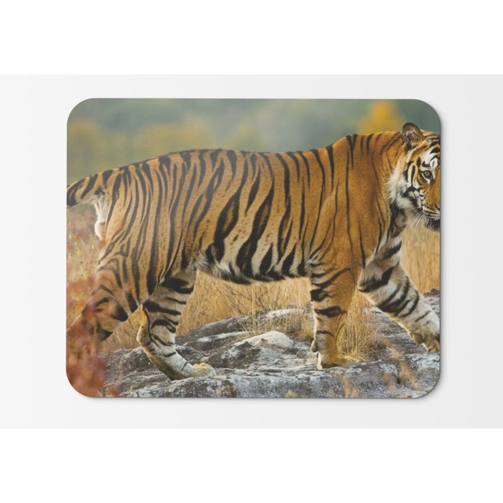 Egérpad Tigercute Animals 002 - 21,5 x 27 x 0,3 cm