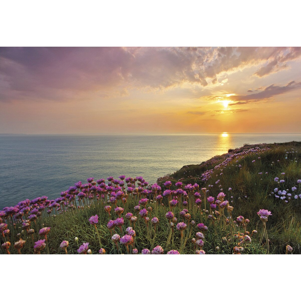 Fototapet , Colectia Komar Vol 15, Categoria Deluxe , 8 piese , dimensiuni 368x254 cm , 8-901