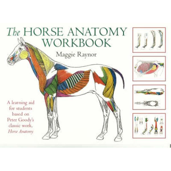 Horse Anatomy Workbook