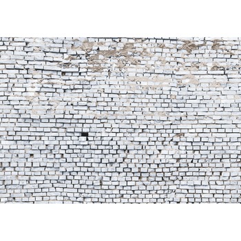 Fototapet White Brick , 8-881, dimensiuni H - 254/ L - 368 , lavabil, usor de montat si de curatat, adeziv inclus Fototapet White Brick , 8-881, dimensiuni H - 254/ L - 368 , lavabil, usor de montat si de curatat, adeziv inclus