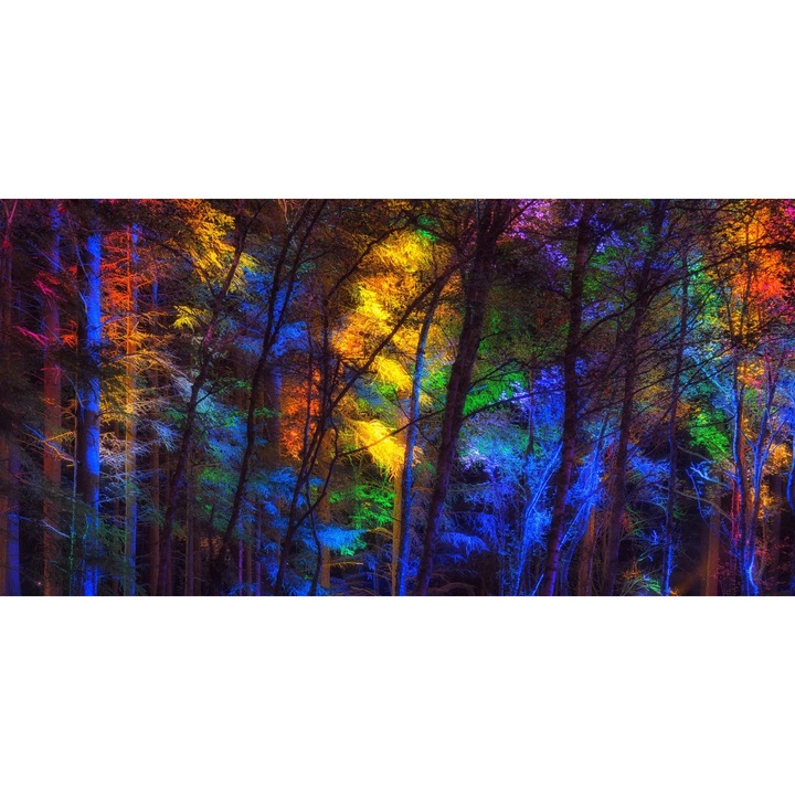 Стикер с дъга в гората, 220 х 135 см