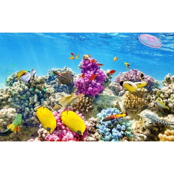 Fototapet de perete autoadeziv si lavabil Lumea subacvatica 4, 270 x 200 cm Fototapet de perete autoadeziv si lavabil Lumea subacvatica 4, 270 x 200 cm