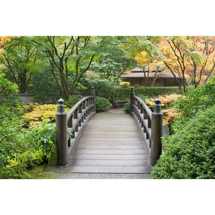 Tapéta Japán kert 4, 400 x 250 cm
