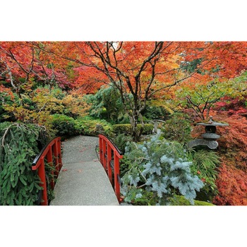 Autocolant Gradina japoneza 3, 270 x 200 cm Autocolant Gradina japoneza 3, 270 x 200 cm