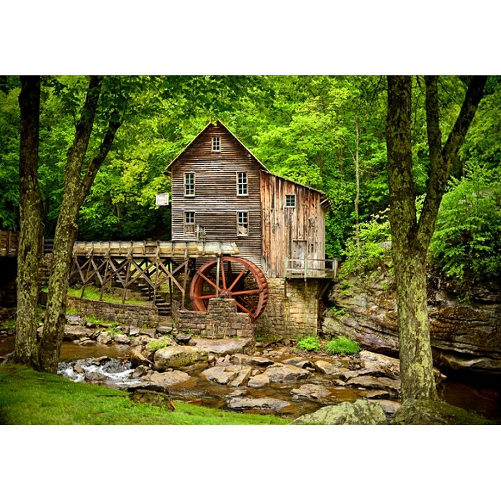 Blueback MAT Erdei malom fotótapéta, 250 x 200 cm