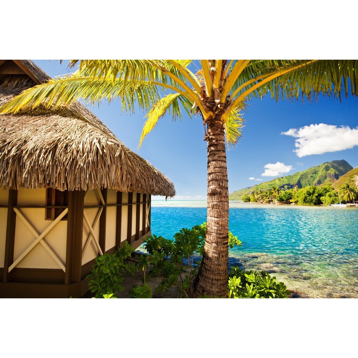 Autocolant Casa de vacanta, 220 x 135 cm