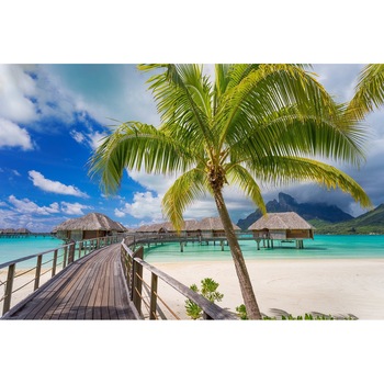 Autocolant Casute pe apa, 270 x 200 cm Autocolant Casute pe apa, 270 x 200 cm