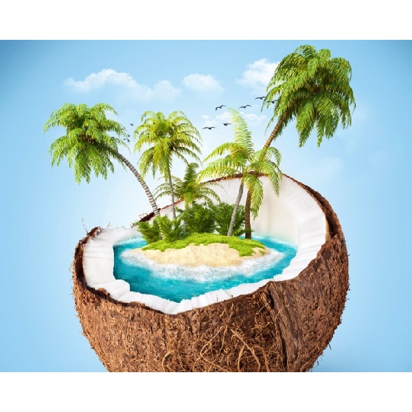 Fototapet de perete autoadeziv si lavabil Insula cocotierilor, 220 x 135 cm