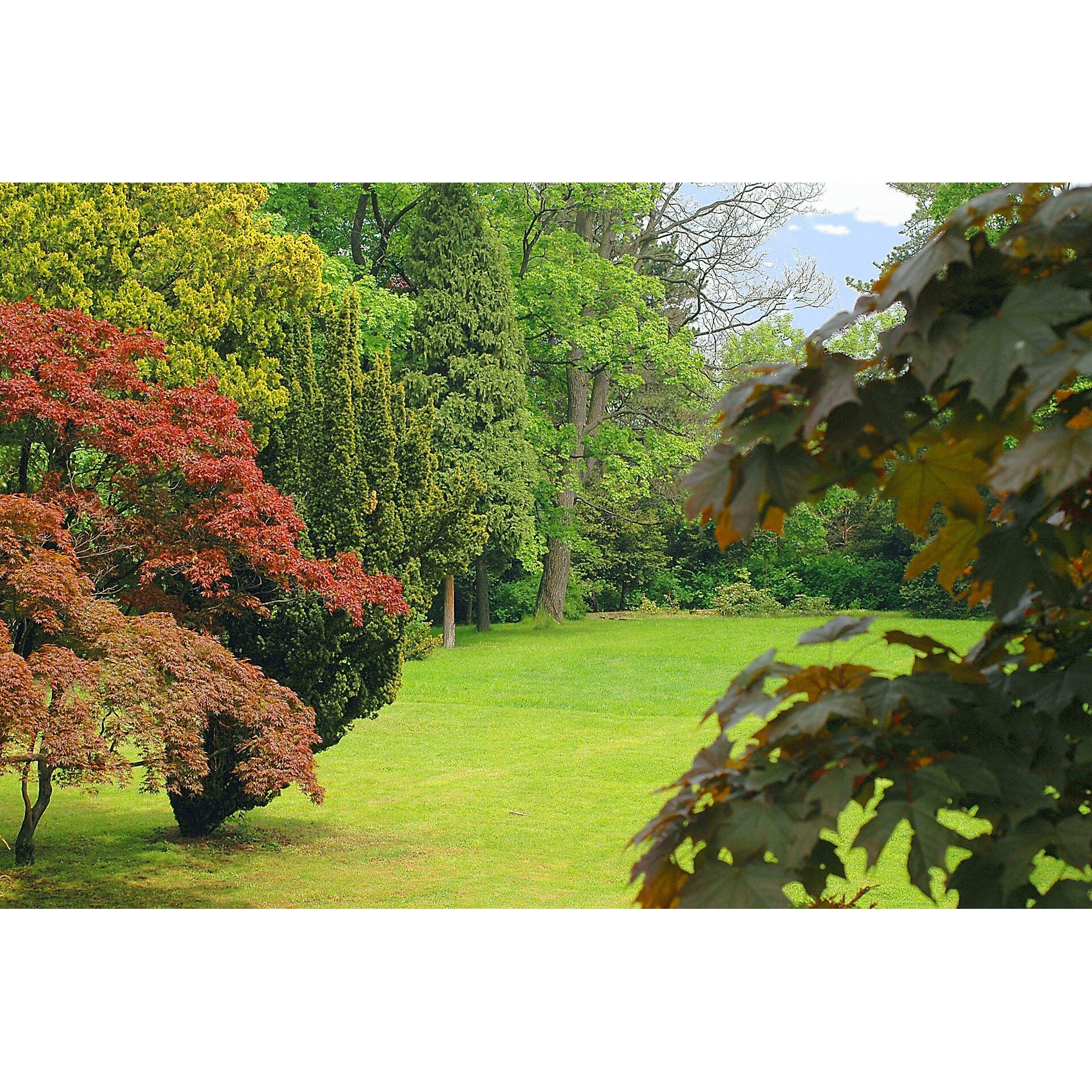 Fototapet DEGRETS 83887 Parc natural 184x254cm