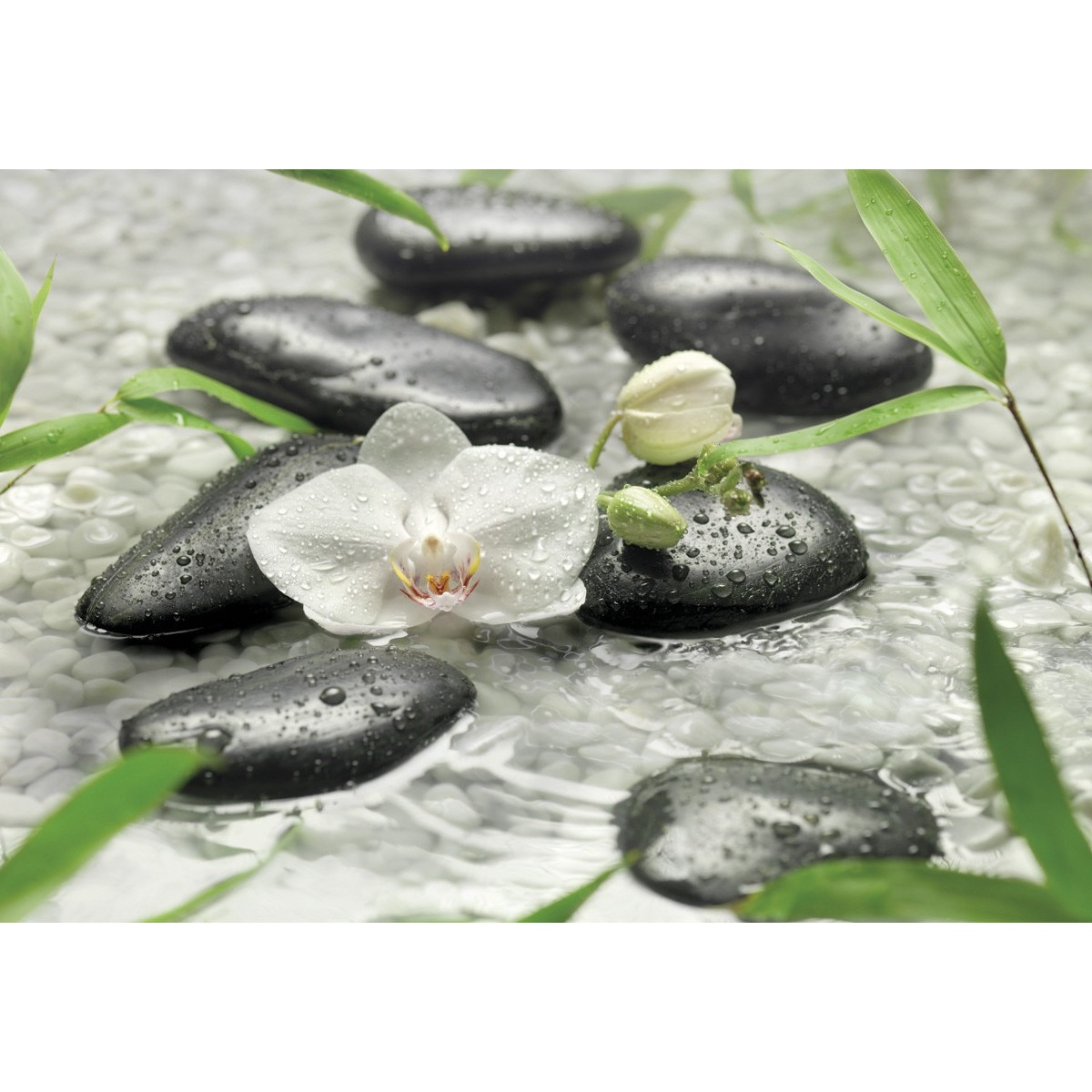 Fototapet Pure Komar 8-319, Pure 368 x 254 cm