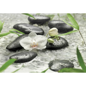 Fototapet , Colectia Komar Vol 15, Categoria Deluxe , 8 piese , dimensiuni 368x254 cm , 8-319 Fototapet , Colectia Komar Vol 15, Categoria Deluxe , 8 piese , dimensiuni 368x254 cm , 8-319