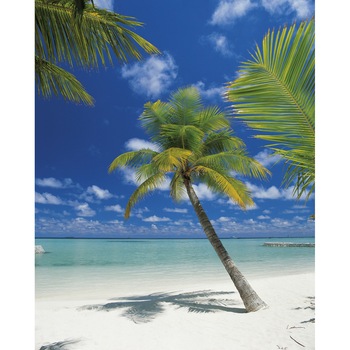 Fototapet tropical Komar 4-883 Verde/Albastru 184 X 254cm ( LxI ) Fototapet tropical Komar 4-883 Verde/Albastru 184 X 254cm ( LxI )