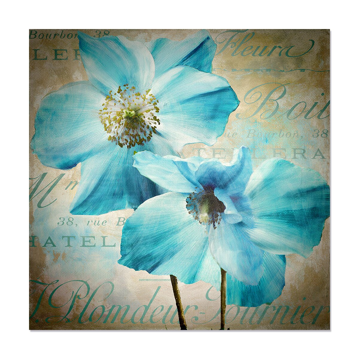 Tablou Canvas - Flori, Albastru, Vintage, 50 x 50 cm
