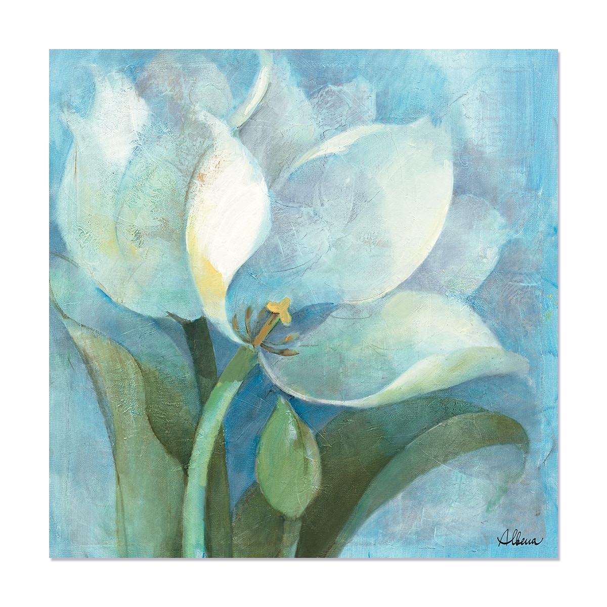 Tablou Canvas - Flori, Lalea, Alb, Primavara, 50 x 50 cm