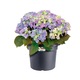 Ghiveci Green Basics Cilinder 65cm negru