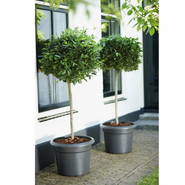 Ghiveci Green Basics Cilinder 65cm negru