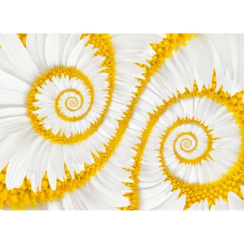 Tablou canvas Spirale albe, 45 x 30 cm Tablou canvas Spirale albe, 45 x 30 cm