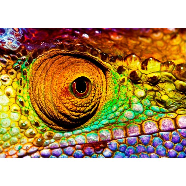 Tablou canvas Cameleon, 45 x 30 cm