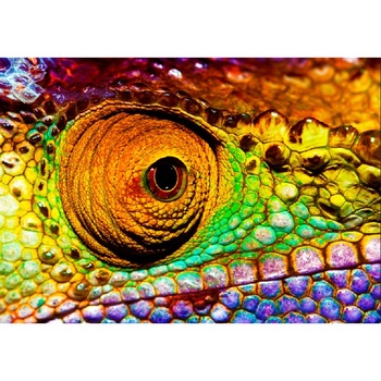 Tablou canvas Cameleon, 45 x 30 cm Tablou canvas Cameleon, 45 x 30 cm