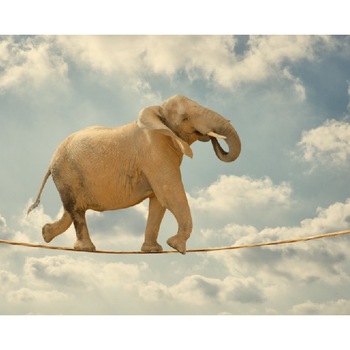 Tablou canvas Elefant acrobat, 45 x 30 cm Tablou canvas Elefant acrobat, 45 x 30 cm