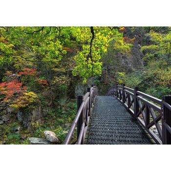 Fototapet de perete autoadeziv si lavabil Pod spre natura, 220 x 135 cm Fototapet de perete autoadeziv si lavabil Pod spre natura, 220 x 135 cm