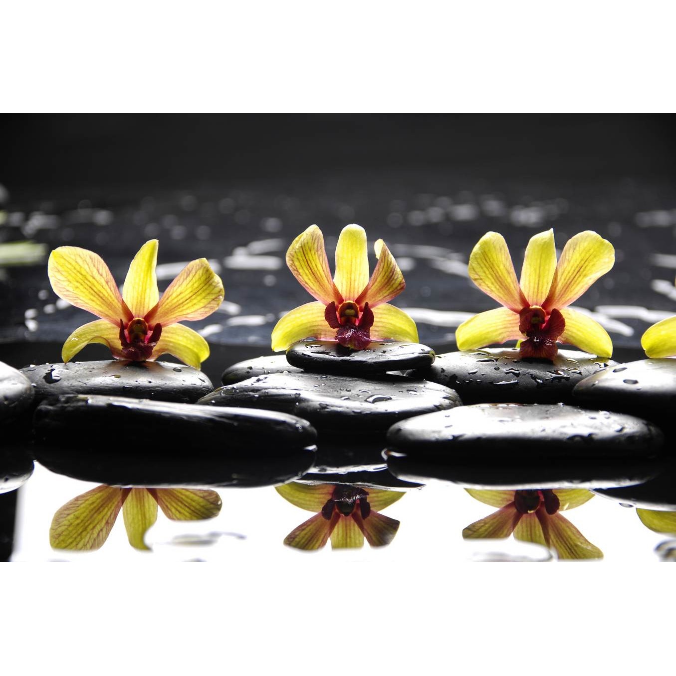 Tablou canvas Orhidee galbene cu pietre, 45 x 30 cm