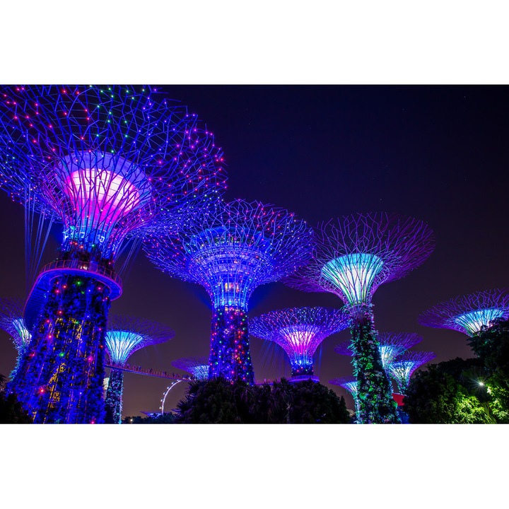 Fototapet de perete autoadeziv si lavabil Parc Singapore 3, 400 x 250 cm