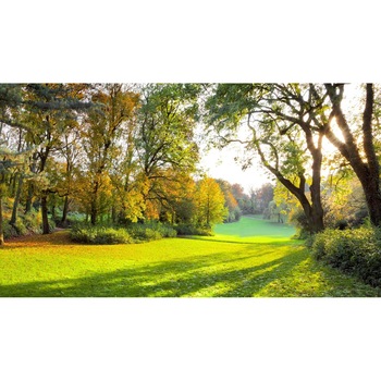 Tablou canvas Toamna in parc, 45 x 30 cm Tablou canvas Toamna in parc, 45 x 30 cm