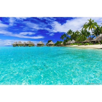 Fototapet de perete autoadeziv si lavabil Vacanta in Bora Bora, 270 x 200 cm Fototapet de perete autoadeziv si lavabil Vacanta in Bora Bora, 270 x 200 cm