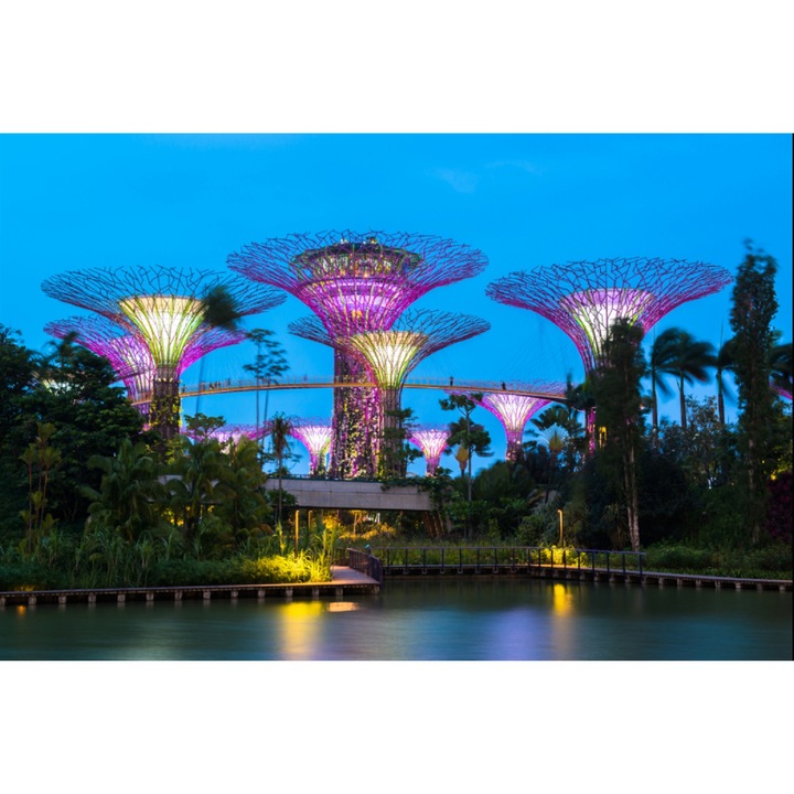 Fototapet Parc Singapore 4, 250 x 200 cm