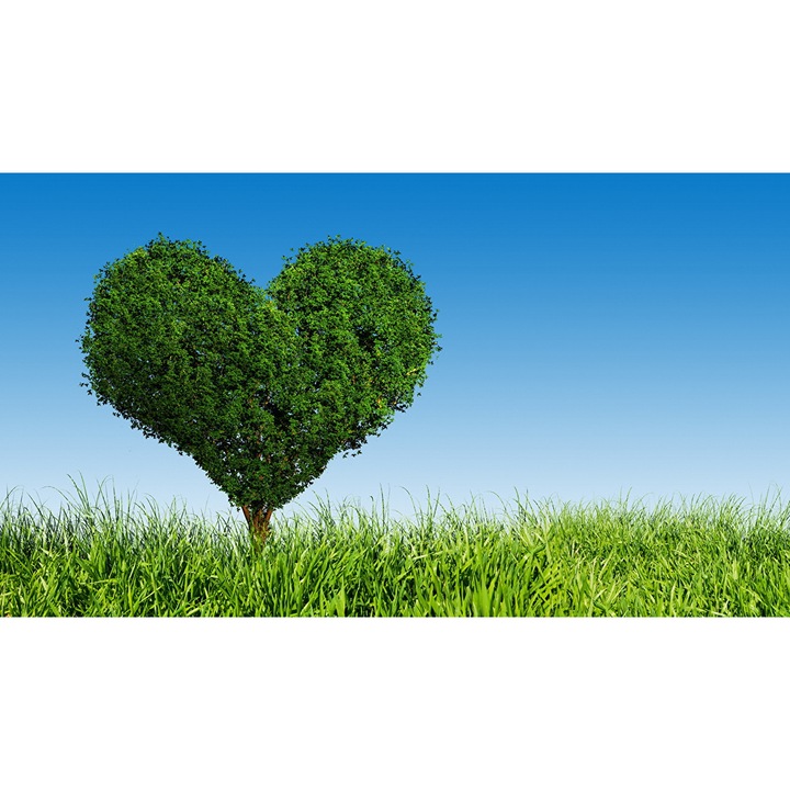 Fototapet Pomul vietii, 250 x 150 cm