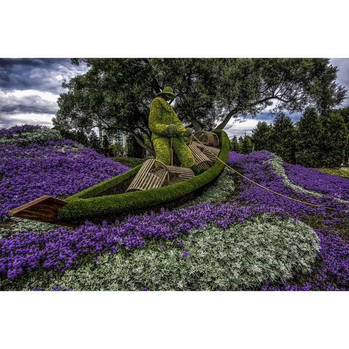 Fototapet Parc cu viorele, 250 x 200 cm